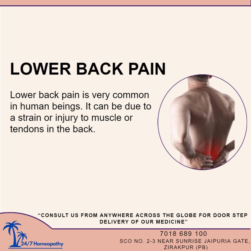 Lower Back Pain Homeopathy Treatment