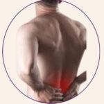 LOWER BACK PAIN 3.1