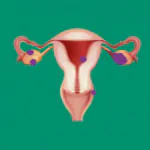 FALLOPIAN TUBE CANCER homeopathy treatment